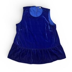 J. Crew Cobalt Blue Velvet Top
